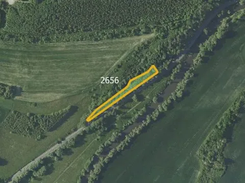 Prodej rybníku, Zruč nad Sázavou, 2604 m2