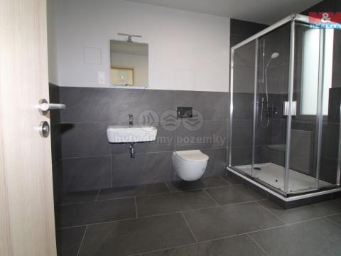 Pronájem bytu 2+kk, Plzeň - Jižní Předměstí, Kotkova, 40 m2