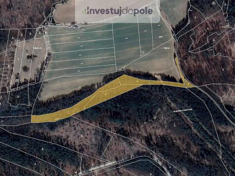 Prodej lesa, Volfířov - Brandlín, 13682 m2