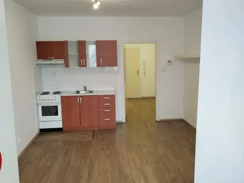 Pronájem bytu 1+kk, Pardubice, nábřeží Závodu míru, 38 m2