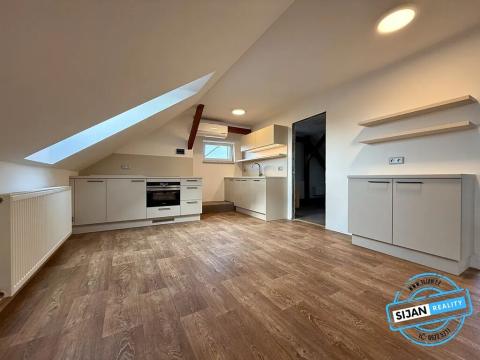 Pronájem bytu 2+kk, Opava, Vodárenská, 105 m2