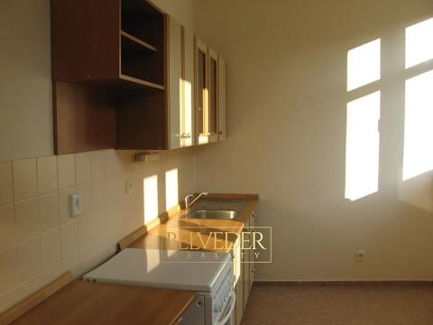 Pronájem bytu 1+1, Teplice, U Hadích lázní, 45 m2