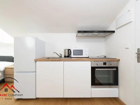 Pronájem bytu 1+kk, Ostrava, Cihelní, 33 m2