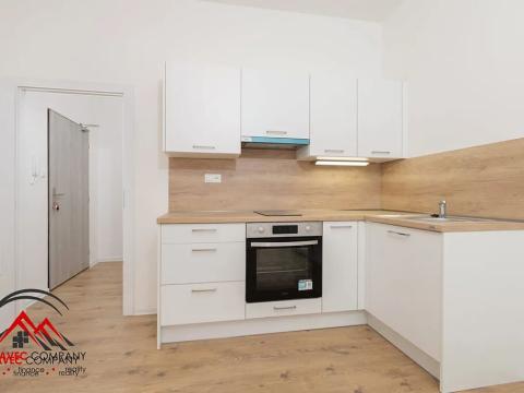 Pronájem bytu 1+kk, Ostrava, Palackého, 21 m2