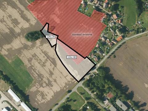 Prodej pozemku pro bydlení, Havlíčkův Brod, 12196 m2