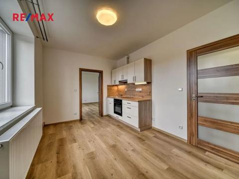 Pronájem bytu 1+1, Poděbrady, Mánesova, 44 m2
