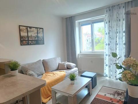 Pronájem bytu 1+kk, Brno, Srbská, 25 m2