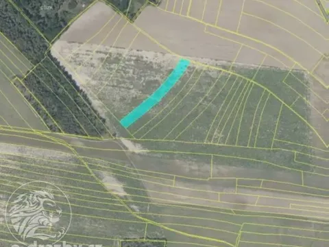 Dražba pole, Týnec nad Labem, 6100 m2