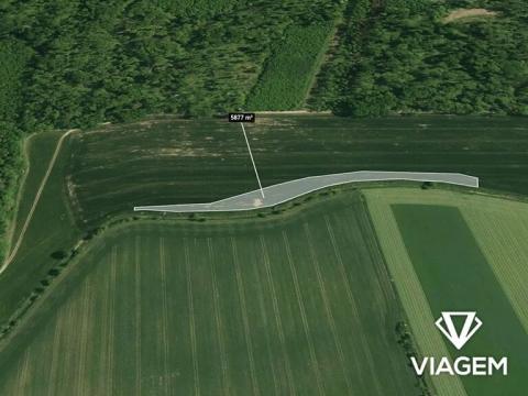 Prodej podílu pole, Střížovice, 489 m2