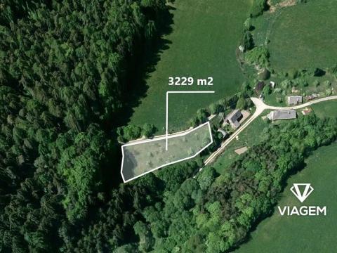 Prodej zahrady, Nový Malín, 3229 m2