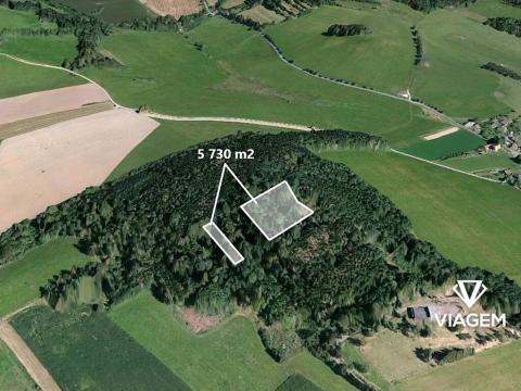 Prodej lesa, Chodská Lhota, 5730 m2
