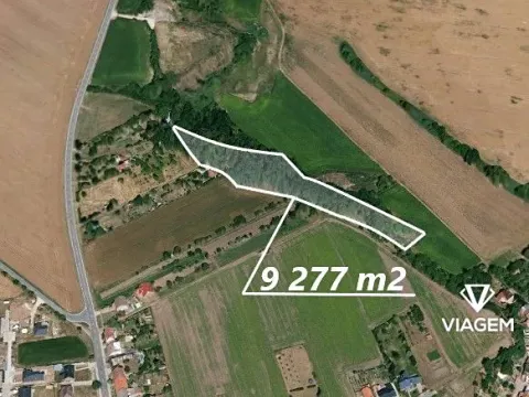 Prodej podílu lesa, Charváty, 570 m2