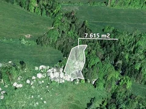 Prodej podílu lesa, Heřmanov, 2538 m2