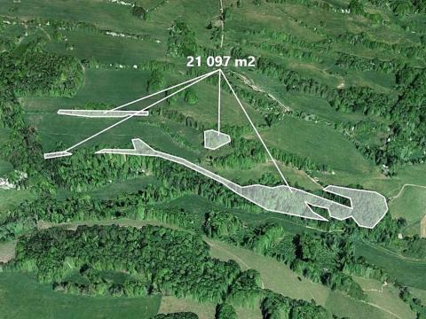 Prodej podílu lesa, Heřmanov, 7032 m2