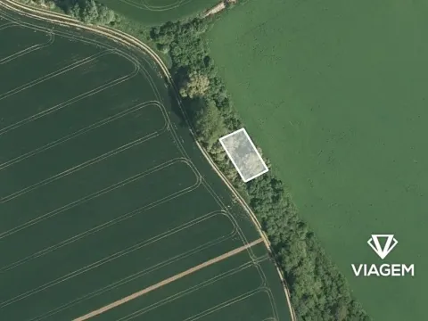 Prodej lesa, Počenice-Tetětice, 630 m2