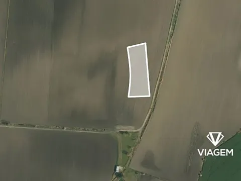 Prodej pole, Vinařice, 3640 m2