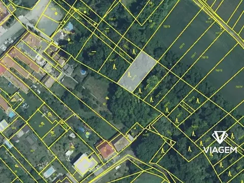 Prodej lesa, Přísnotice, 1089 m2