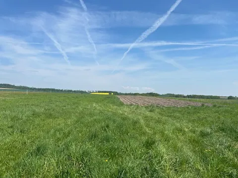 Prodej pole, Rokytá, 9402 m2