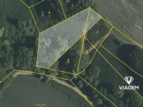 Prodej podílu lesa, Vračovice-Orlov, 2035 m2