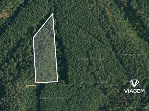 Prodej podílu lesa, Vlastiboř, 1170 m2