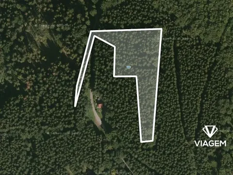 Prodej podílu lesa, Morávka, 4190 m2