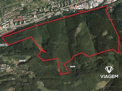 Prodej podílu lesa, Vsetín, 6855 m2