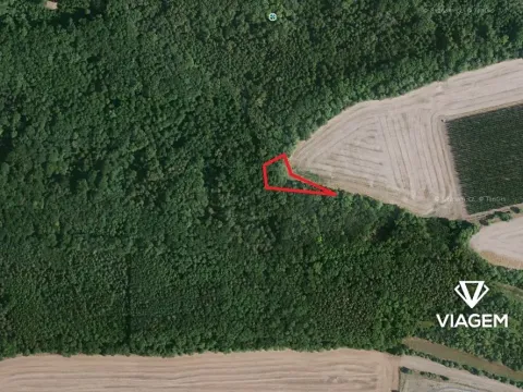 Prodej podílu lesa, Libochovice, 525 m2