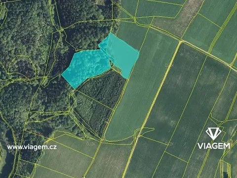 Prodej podílu lesa, Vševily, 1467 m2