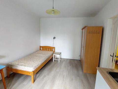 Pronájem bytu 1+kk, Plzeň, Pod Záhorskem, 20 m2