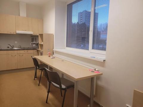 Pronájem bytu 1+kk, Brno, Vídeňská, 22 m2