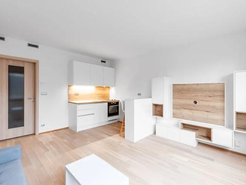 Pronájem bytu 1+kk, Praha - Vysočany, Bassova, 34 m2