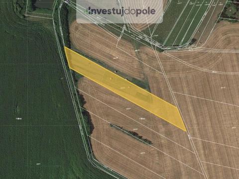 Prodej pole, Dětenice - Brodek, 5142 m2