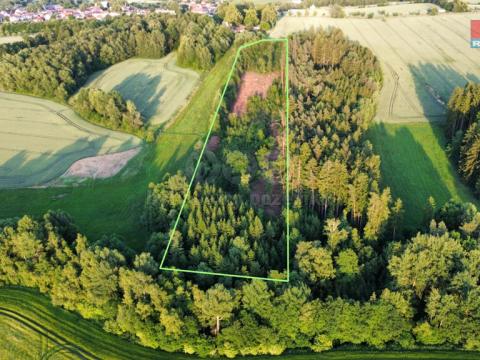 Prodej lesa, Božejov, 17153 m2