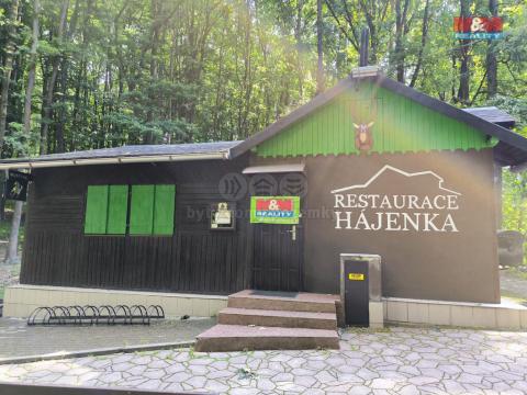 Pronájem restaurace, Orlová - Lutyně, Modřínová, 330 m2