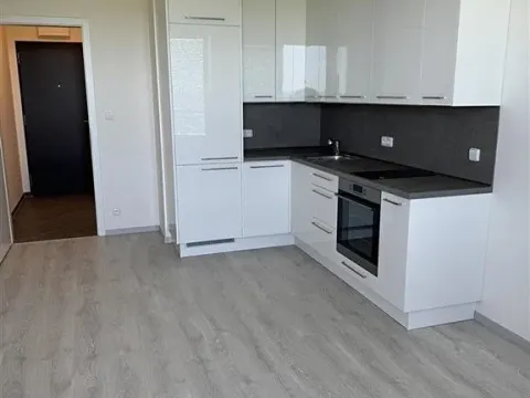 Pronájem bytu 1+kk, Praha - Třebonice, Thomasova, 31 m2