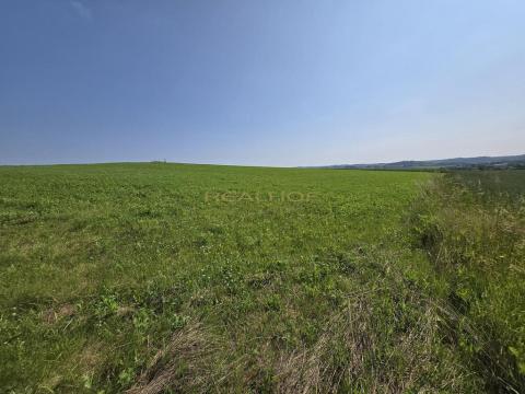 Prodej pole, Horní Slatina, 39175 m2
