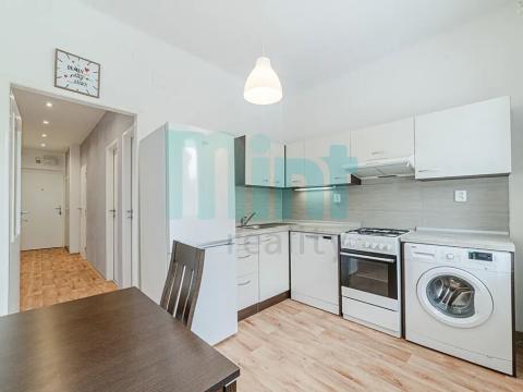 Pronájem bytu 1+1, Ostrava, Nálepkovo náměstí, 43 m2