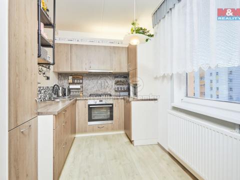 Pronájem bytu 3+1, Tábor, Minská, 67 m2