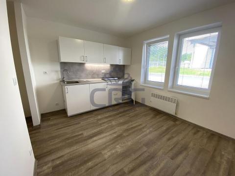 Pronájem bytu 1+kk, Brno - Maloměřice, 17 m2