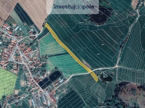 Prodej louky, Kadolec, 9707 m2