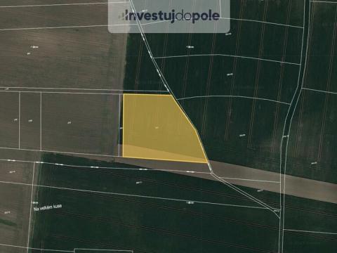 Prodej pole, Neuměřice, 6987 m2
