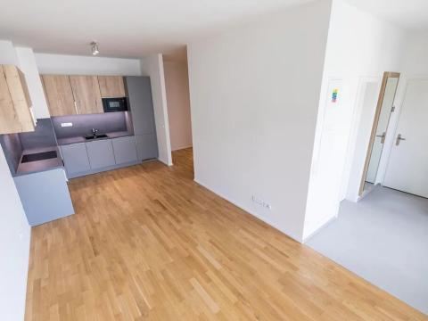 Prodej bytu 1+kk, Praha - Žižkov, U Viktorie, 67 m2