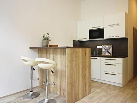 Pronájem bytu 1+kk, Brno, Koliště, 32 m2