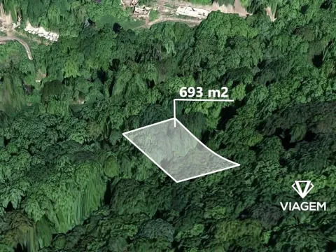 Prodej lesa, Ústí nad Labem, 693 m2