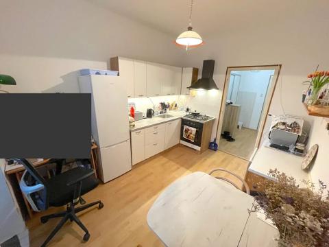 Pronájem bytu 1+1, Brno, Mezírka, 50 m2