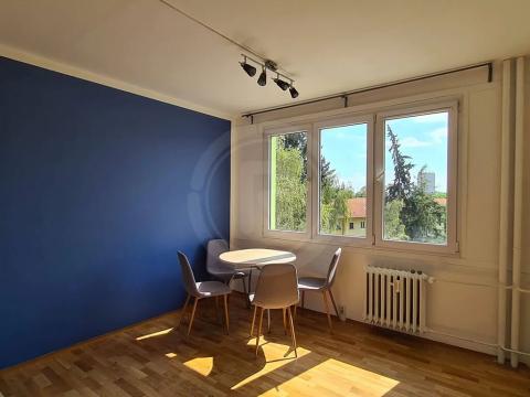 Pronájem bytu 1+1, České Budějovice, Zachariášova, 52 m2