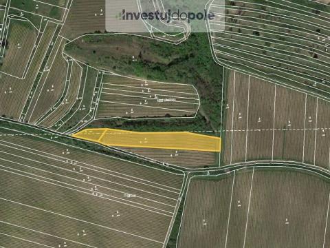 Prodej pozemku, Dolní Věstonice, 747 m2