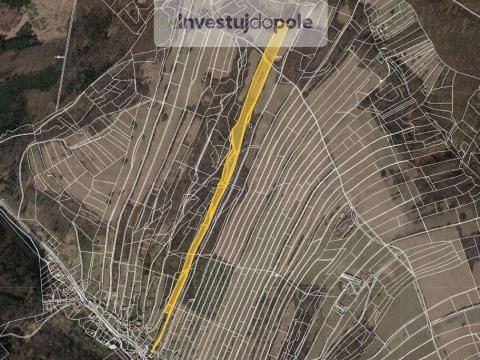 Prodej louky, Jankovice, 11496 m2