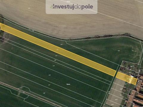 Prodej pole, Slepotice - Nové Holešovice, 589 m2