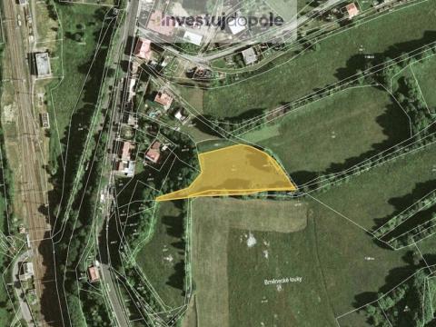 Prodej louky, Březová nad Svitavou, 3811 m2